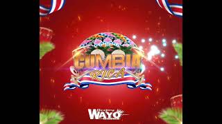 MIX CUMBIAS  COSTA RICA 2022 DJ WAYO [upl. by Kacy]