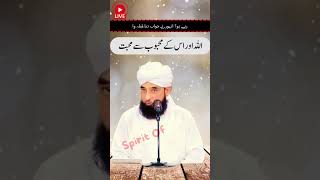 Jo HUZOOR ﷺ Sar Muhabat Karty moulanarazasaqibmustafai beyan shortsvideo ytshort emotional [upl. by Rehpatsirhc189]