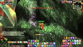 World of Warcraft Netherschwingen Ruf farmen Netherschwingeneier sammeln [upl. by Aloek965]