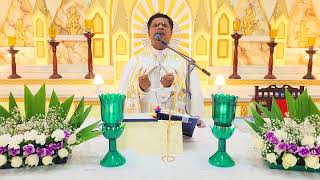 Sunday Holy Mass January 21 I 530 AM I Malayalam I Syro Malabar I Fr Bineesh Augustine [upl. by Tasia959]