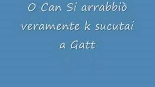 CANI E GATTI CHE LITIGANO [upl. by Algie27]