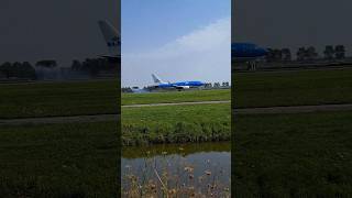 B737 landing aviation flight planespotting schiphol schipholairport boeing b737 landing [upl. by Harlamert]