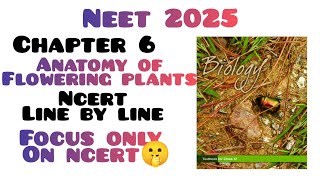 Anatomy of flowering plants class 11  Anatomy of flowering plants  Part 3 [upl. by Lowenstein]