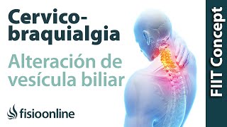 Cervicobraquialgia Izquierda por vesícula biliar  Plantas medicinales y remedios naturales [upl. by Fidelia646]