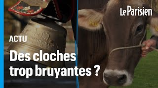 Suisse  des vaches accusées de « tapage nocturnes » à cause de leur cloche [upl. by Drofnats]