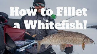 How to fillet a Whitefish [upl. by Natsud769]