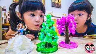 หนูยิ้มหนูแย้ม  กิจกรรมเด็กปลูกต้นไม้กระดาษ Kids Activity  Paper tree [upl. by Oicatsana]