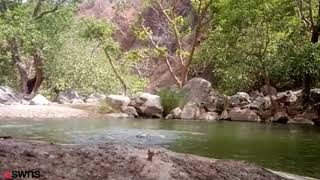 Friends filmed themselves in accidental drowning [upl. by Werbel]