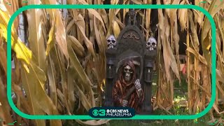 Eagleville man builds corn maze for neighborhood kids at his home [upl. by William919]