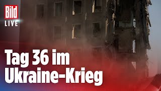 🔴 UKRAINEKRIEG Alle aktuellen News – 31032022  BILD Live [upl. by Nina]