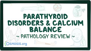 Parathyroid disorders and calcium balance Pathology Review [upl. by Eul]