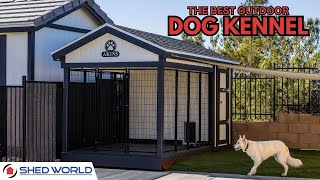 The Best Dog Kennel Shed in 2024  Shed World [upl. by Buddie]