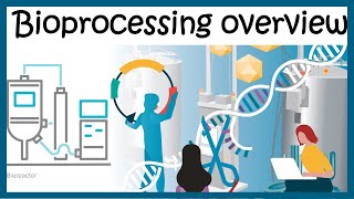 Bioprocessing overview Upstream and downstream process [upl. by Sandor]