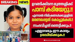 പാലക്കാട് നടന്ന സംഭവം ഈ കാര്യങ്ങൾ ശ്രദ്ധിച്ചില്ലെങ്കിൽ ഇത് എല്ലാവർക്കും സംഭവിക്കാം [upl. by Tallia]