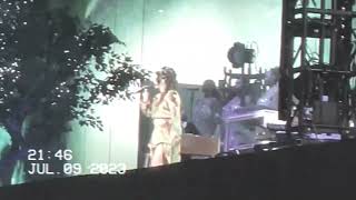 Lana Del Rey  Arcadia live at Hyde Park London [upl. by Abdel]