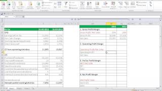 FinShiksha  Operating Profit Margin [upl. by Ettezzus]