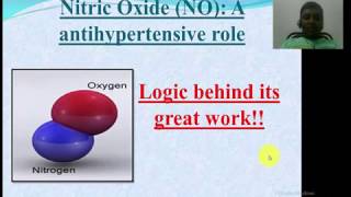 Nitrous Oxide decreases your Blood PressureInteresting to know its biochemical reason [upl. by Enaile]