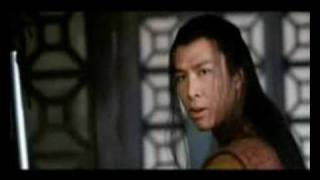 Donnie Yen vs Jet Li Mortal Hero [upl. by Eldrid]