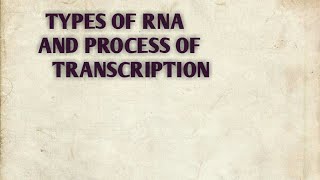 Types of RNA and process of transcription of class 12 [upl. by Odine]