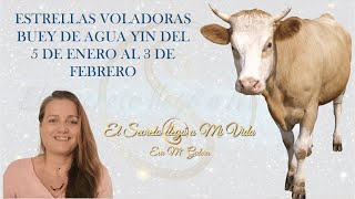 ✨Feng Shui Estrellas Voladoras Enero de 2023 Buey de Agua Yin [upl. by Eila]