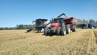 Gleaner S98 Oat Harvest 2022 [upl. by Seyer198]