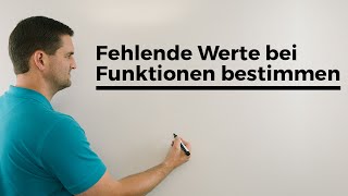 quadratische Funktion  Höhe yWert einer Brücke berechnen  Lehrerschmidt [upl. by Akimahs]