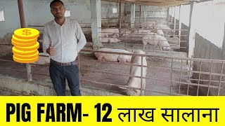 3 लाख लगाकर शुरू किया था Pig Farmआज सालाना टर्नऑवर 12 लाख  Training start 20april [upl. by Yesak]