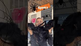 Things are getting spooky at our Realsophy Real Estate office 🕷️🕸️🕷️🕸️ halloween spooky [upl. by Virgie846]