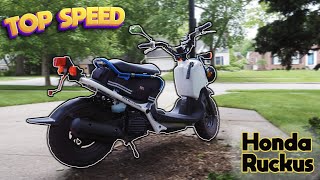 2022 Stock Honda Ruckus Top Speed  Top Speed Test [upl. by Onin]