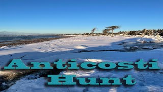 Anticosti Hunt [upl. by Idnerb]