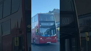 2 lots of bus route 602’s at Northumberland Park Stop V bus localbus publicbus tfl [upl. by Kalvn]