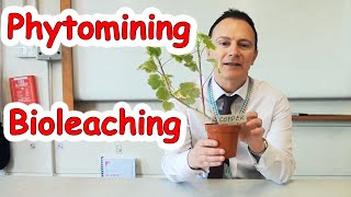 GCSE Chemistry 19 What are Bioleaching and Phytoextraction [upl. by Rennold686]