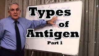 Types of Antigen  Part 1 [upl. by Polinski]