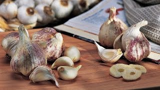 How to Plant Garlic [upl. by Edwina743]