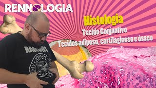 Histologia  Tecido Conjuntivo  Tecidos Adiposo Cartilaginoso e Ósseo [upl. by Bohlin]