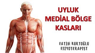 Uyluk Medial Kasları  KAS ANATOMİ si KONU ANLATIMI 10 [upl. by Barcot]