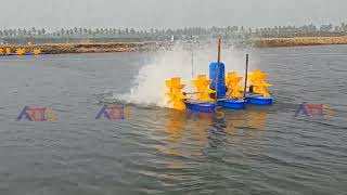 1 Hp 4 Paddle Wheel Aerator Performance [upl. by Noda]