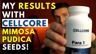 CELLCORE Para1 Mimosa Pudica Seed Review Results Side Effects [upl. by Merta]