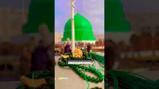 Hamko Bhulana Ya Rasulallah 🇨🇨♥️ religion viralvideo lslamicnaats islmicnaat naat [upl. by Yrffej]