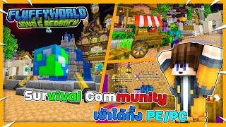 Minecraft โปรโมทเซิฟ  fluffyworld เอาชีวิตรอด สร้างบ้าน ทำฟาร์ม ลงดันเจี้ยน เข้าได้ทั้ง PEPC [upl. by Namqul]