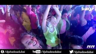 PARTY ALL NIGHT DJ SHADOW DUBAI REMIX [upl. by Tuesday]