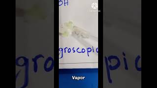 What are Hygroscopic Substances Chemistry Unseen NaOH KOH [upl. by Leviram501]