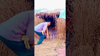 आओ कोई नहीं है vidhya Bhauji shortsshortsvideo youtubshorts [upl. by Assili310]