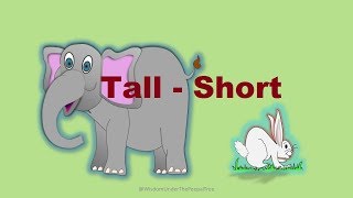 Learn Tall  Short  Long  Short concept for kids [upl. by Isabelle215]