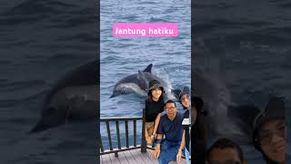 Jantung hatiku cover [upl. by Ecnerol]