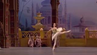 LE CORSAIRE  Odalisque Variation 2 Elvina Ibraimova  Bolshoi Ballet [upl. by Topliffe]