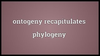 Ontogeny recapitulates phylogeny Meaning [upl. by Sholeen197]