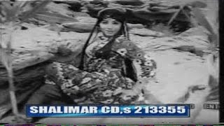 New Pashto Classic Song  Topak Zama Qanoon  Har Kala Cha Rashi Da Mi  Pashto Song With Dance [upl. by Specht]