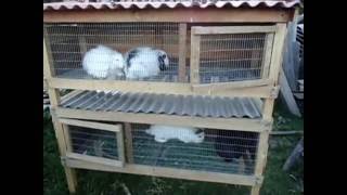 Jaulas Casera de 2 pisos para Conejos  Cuyes  Pollos Rabbit HUTCH [upl. by Gellman]