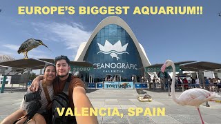 Oceanographic Valencia  The largest aquarium in Europe  Valencia Spain Oceanographic 2022 [upl. by Abernon]